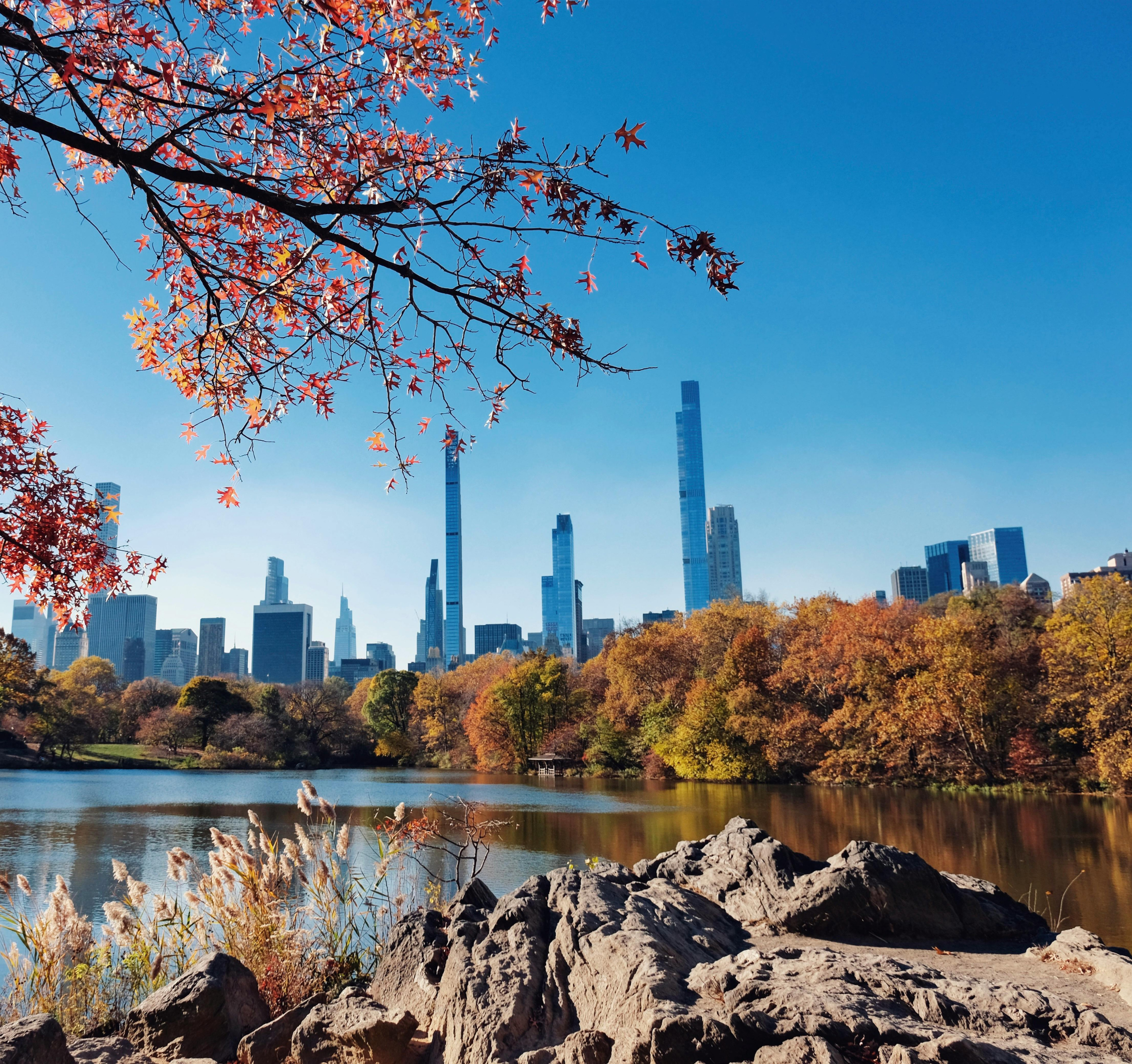 office with many people sitting at desks with computers
